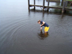 UW-Oshkosh collecting a water sample