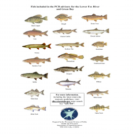 Environmental Health Hazards | Winnebago County