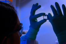 CDC Scientist CDC Scientist