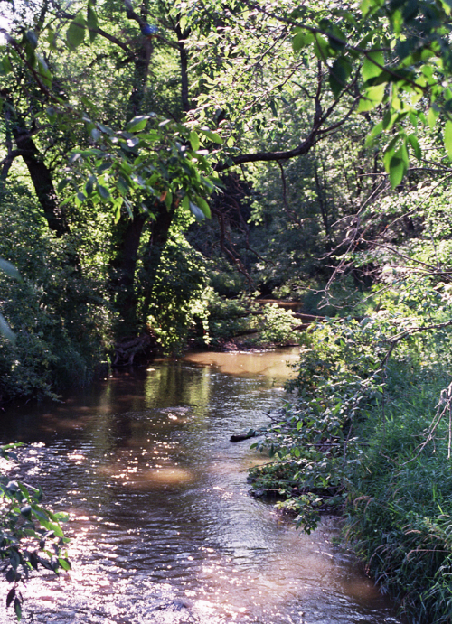 Waukau Creek Nature Preserve