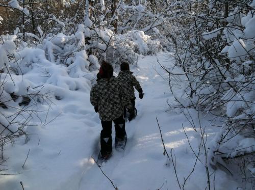 Waukau Creek Nature Preserve Winter Trail