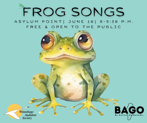 Frog Songs Frog Songs