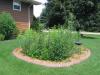 residental rain garden with decorative border