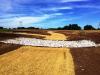 grassed waterway with machine crossing