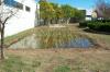 new rain garden with ponding