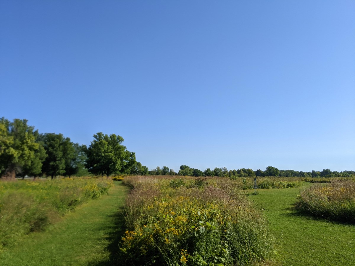 Community Park