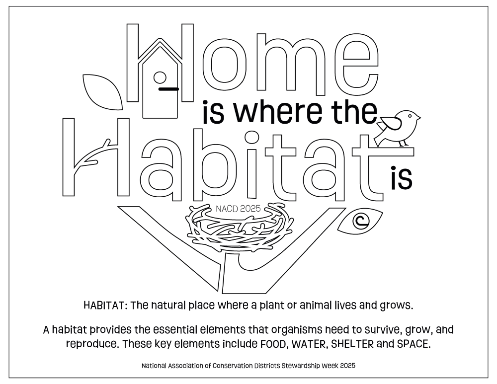 Home is where the Habitat is COLOR PAGE