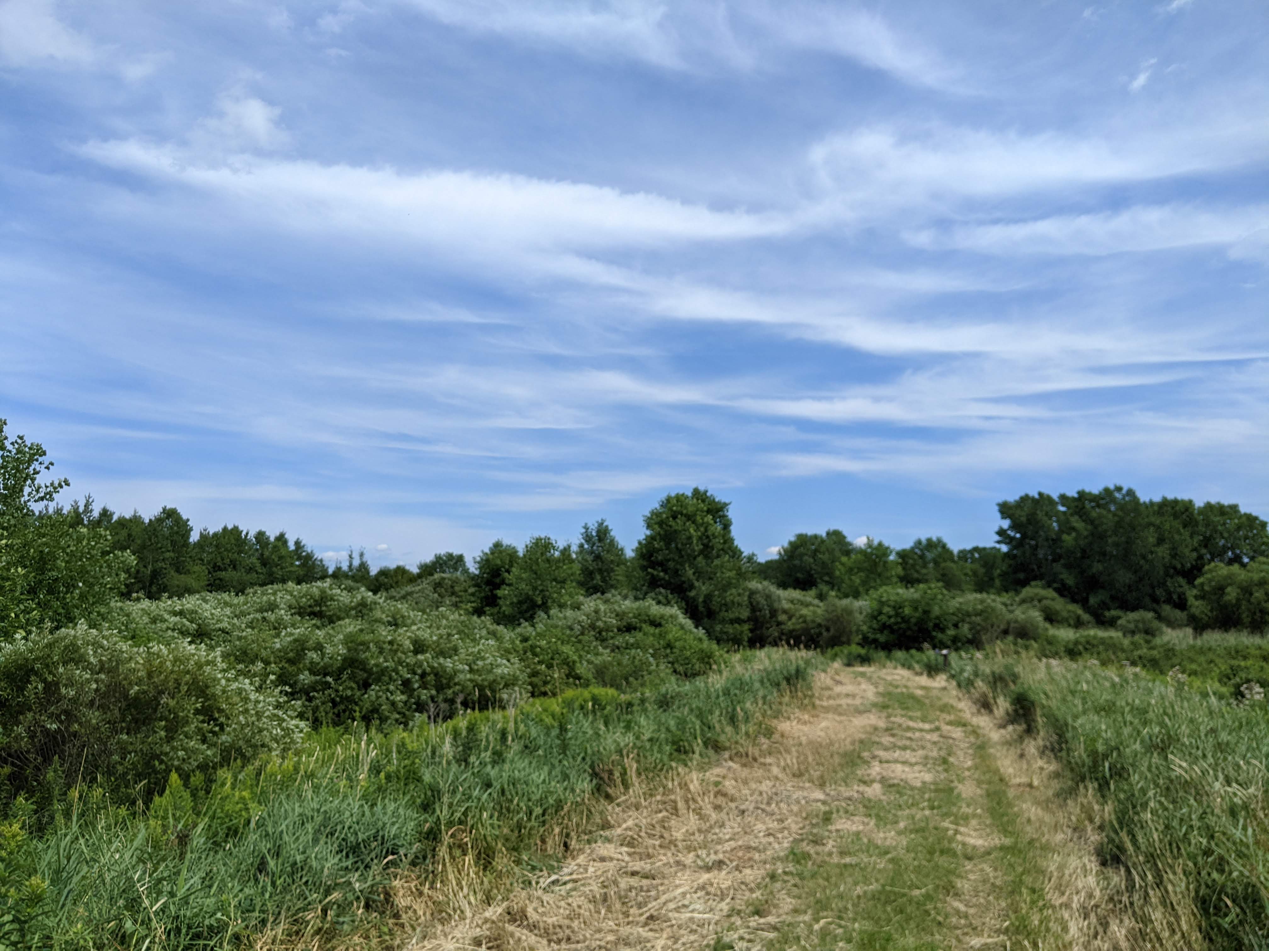 Coughlin Community Natural Area