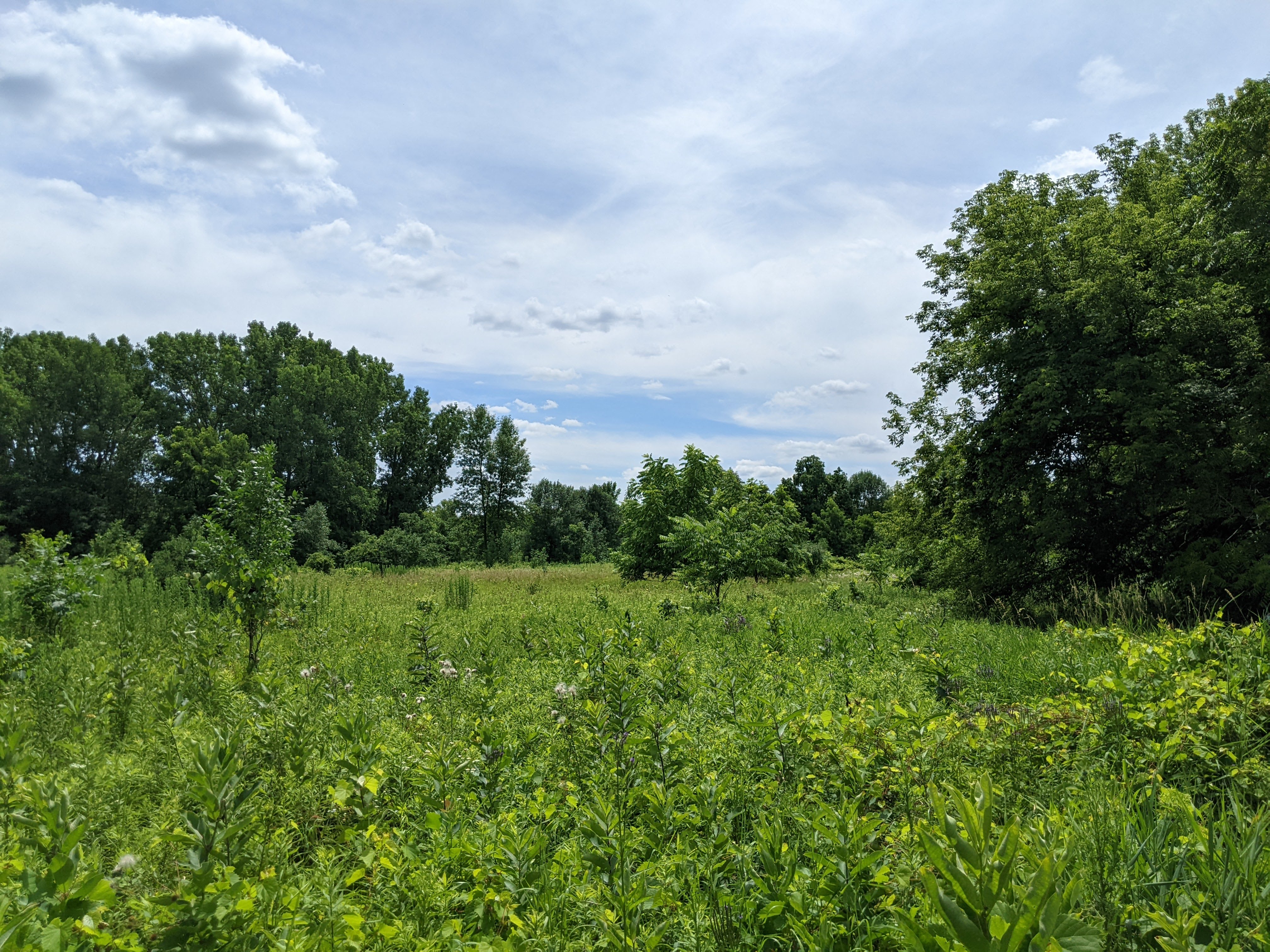 Coughlin Community Natural Area