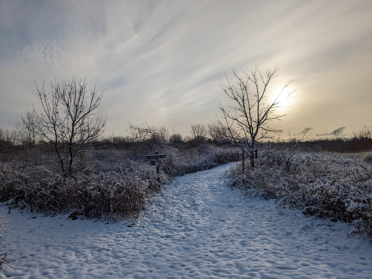 Coughlin Trail Winter