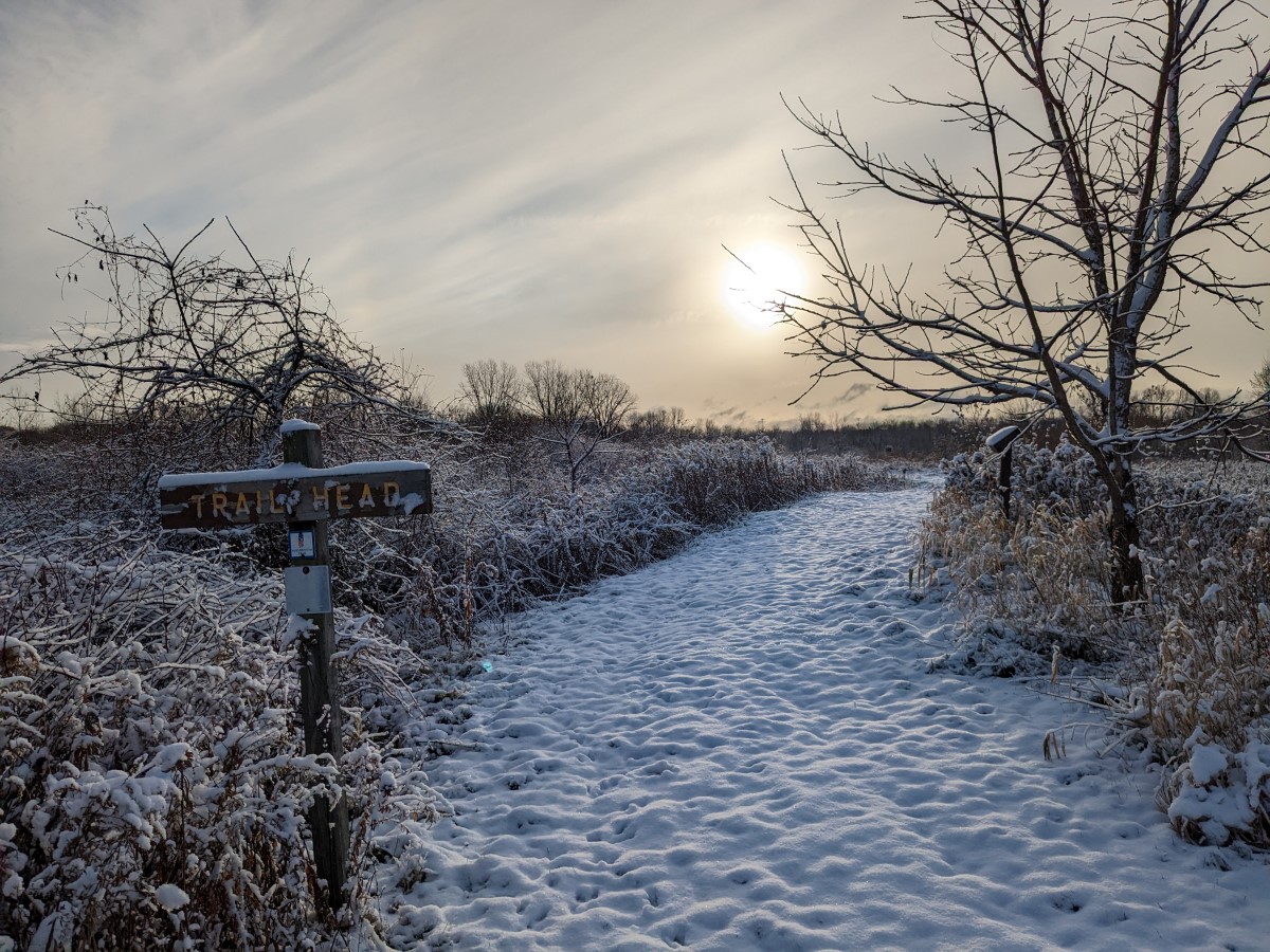 Coughlin Community Natural Area