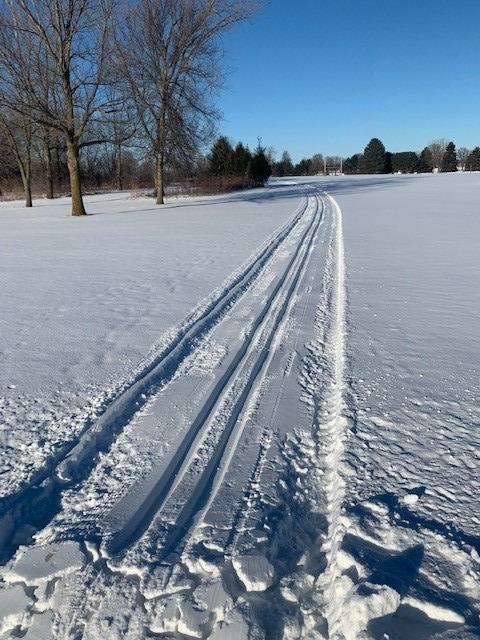 Cross-Country Ski Trail