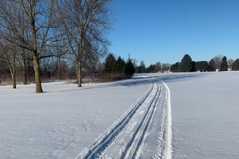 Community Park Cross-Country Ski Trail