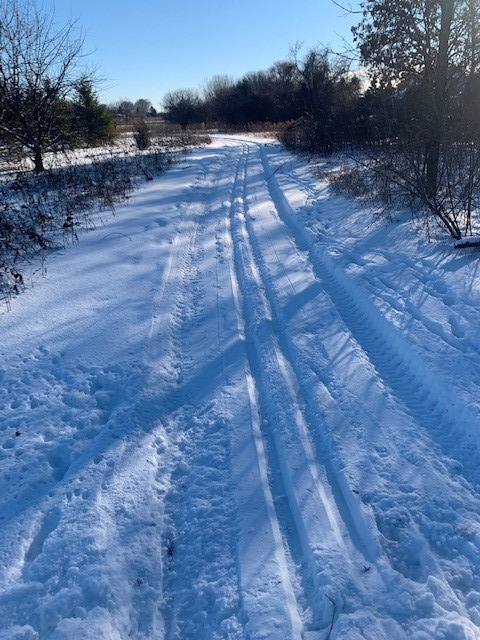 Cross-Country Ski Trail