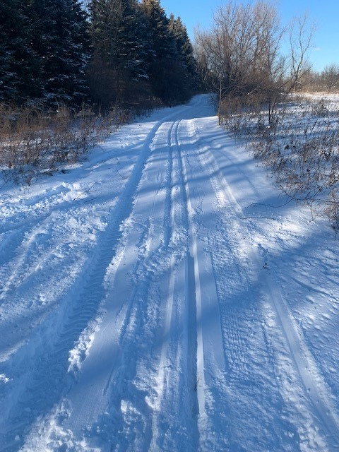 Cross-Country Ski Trail