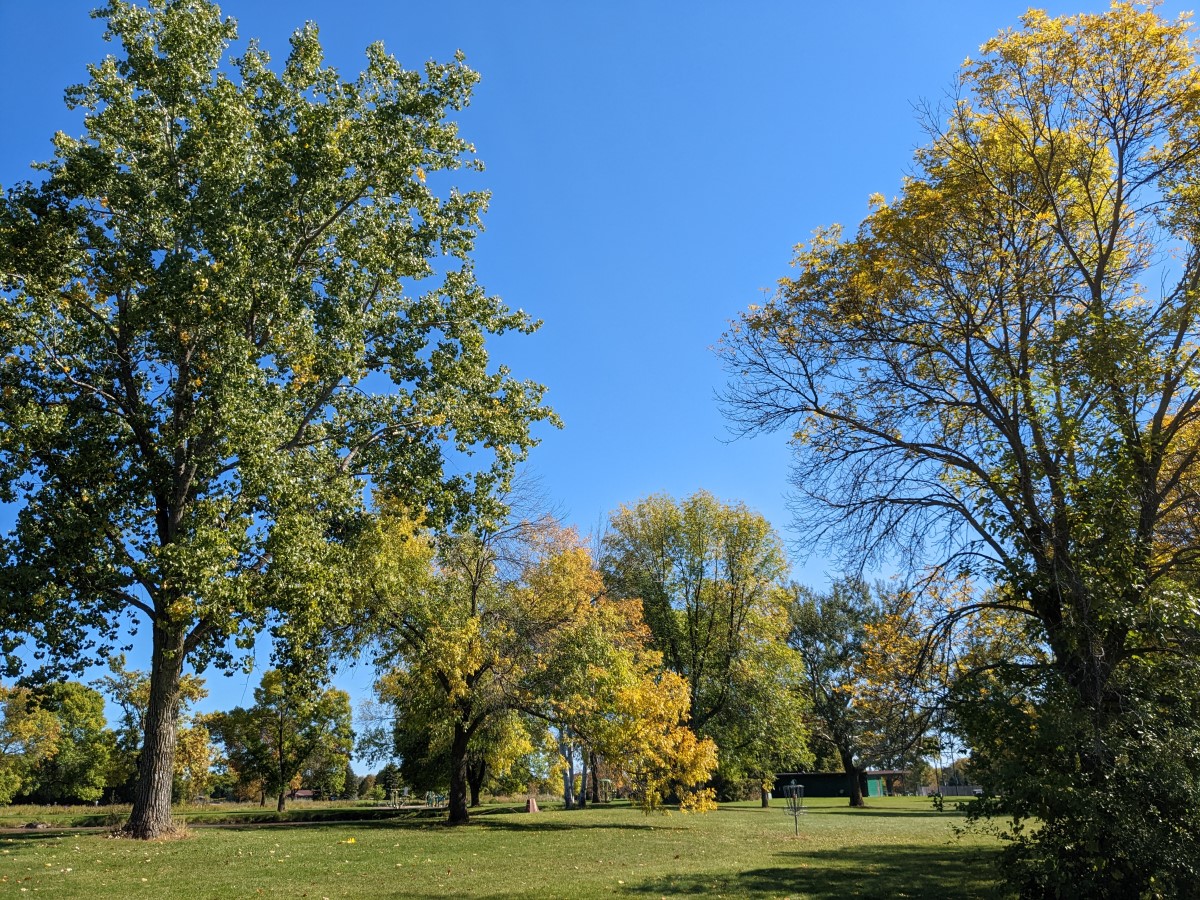 Disc Golf Course Hole at Park