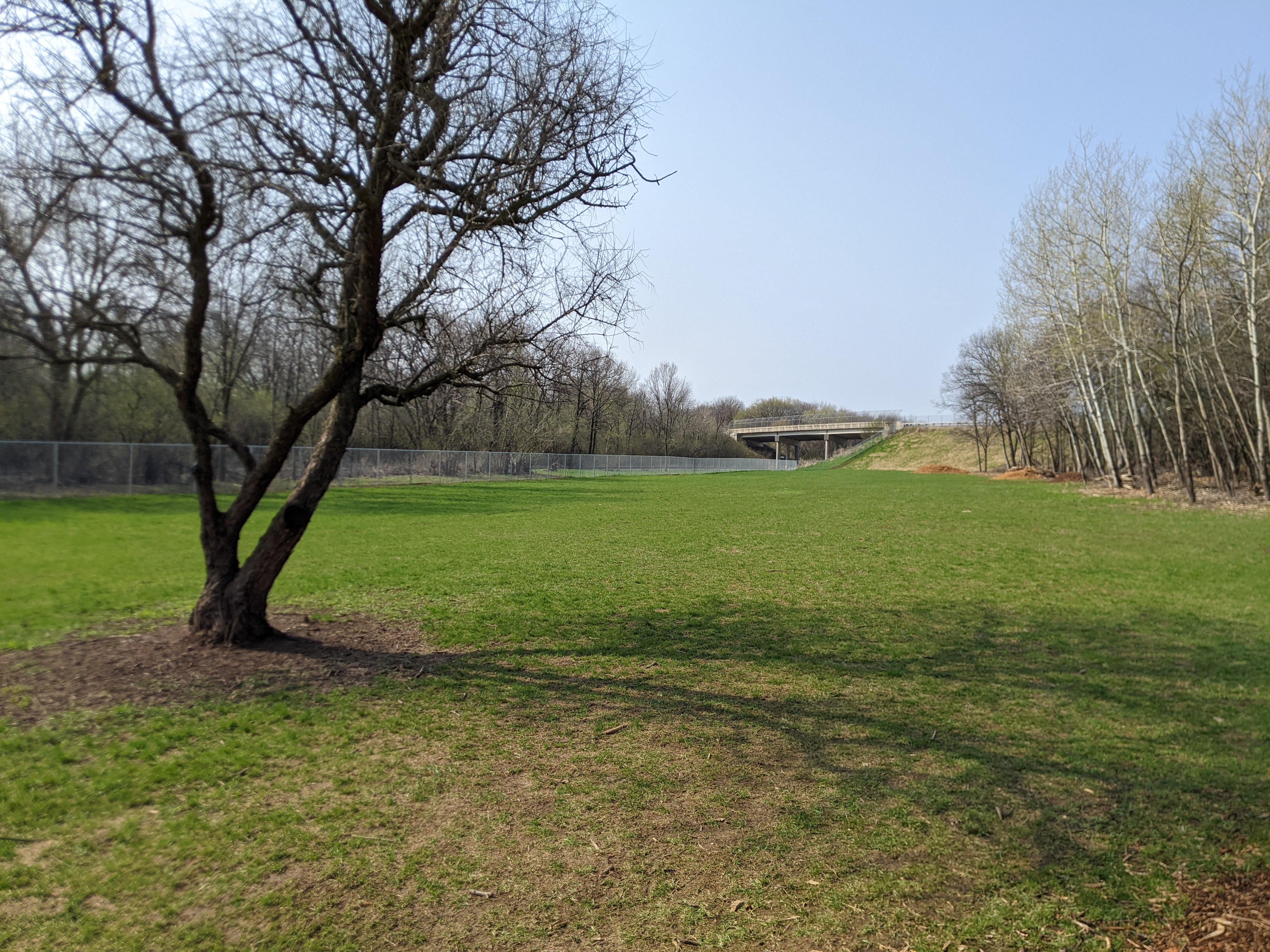 Jerry Finch Winnebago County Dog Park