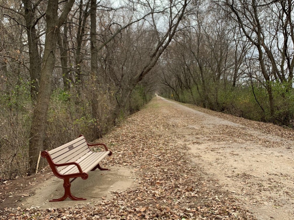 Memorial Bench on Wiouwash Trail