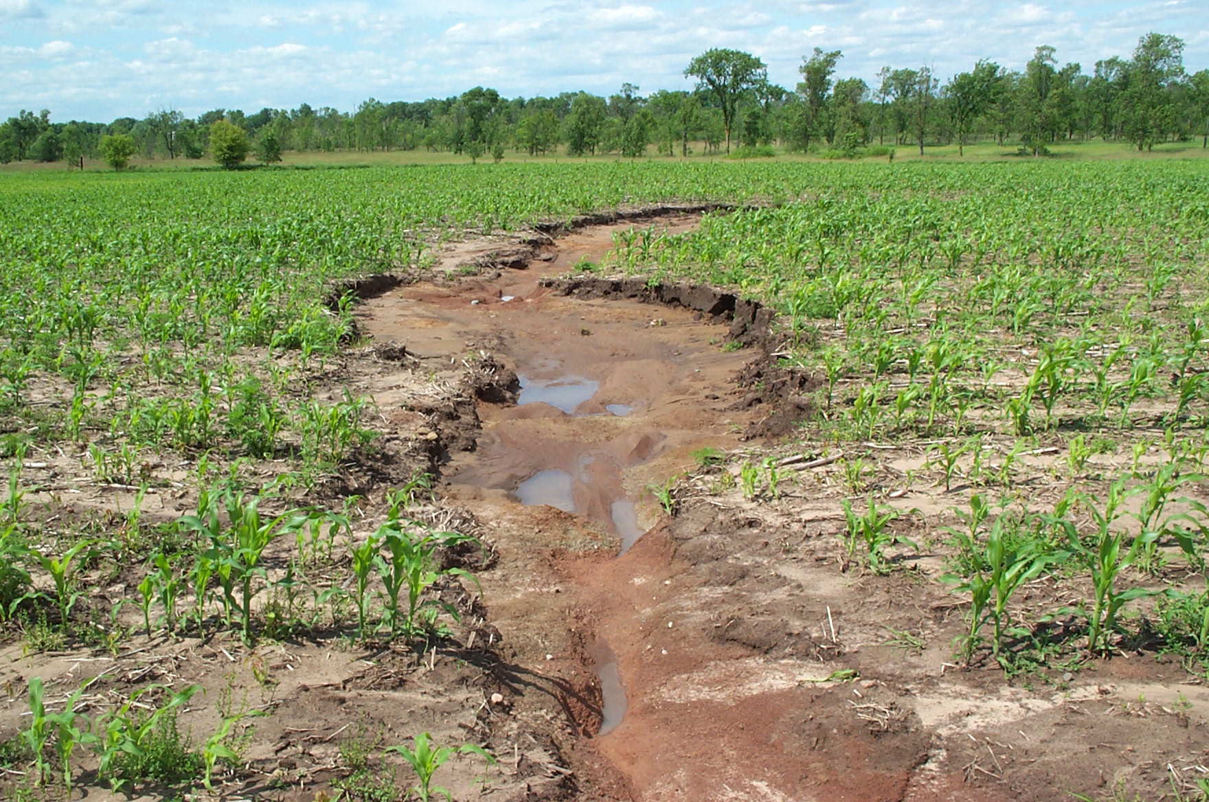 Photo of sediment erosion