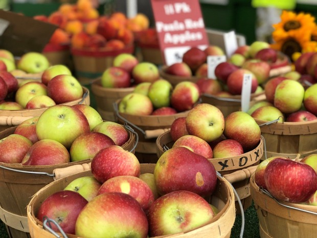 Buckets of apples