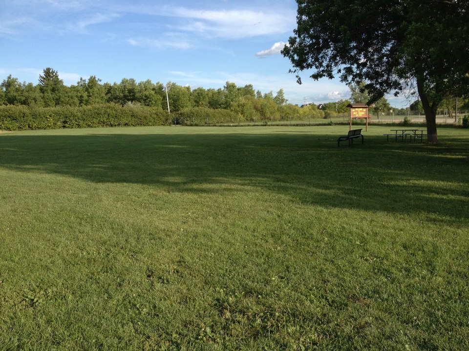 Best Friends Dog Park