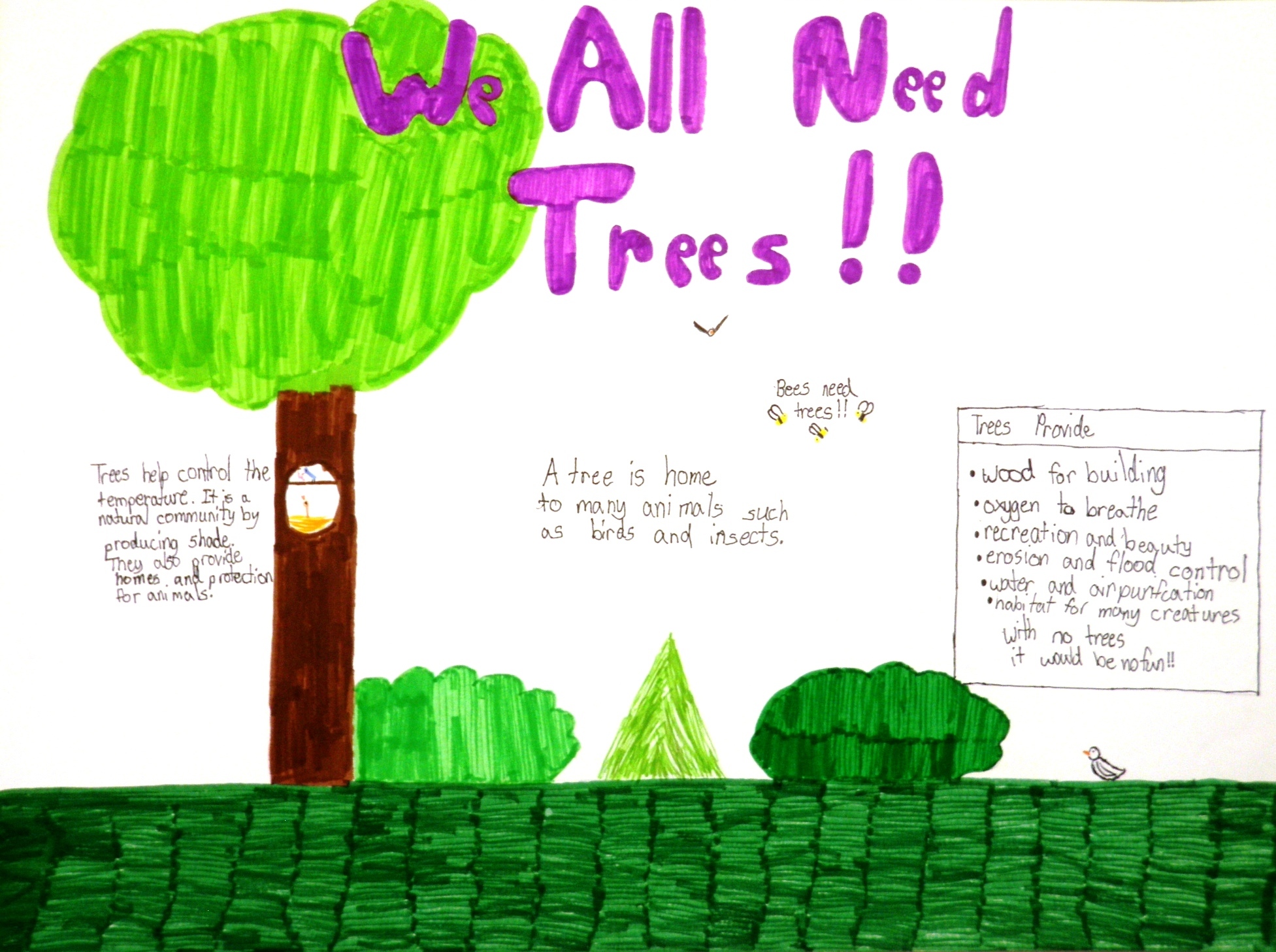 Grades 4-6, 1st Place, Abby Searl, St. Gabriel Elementary