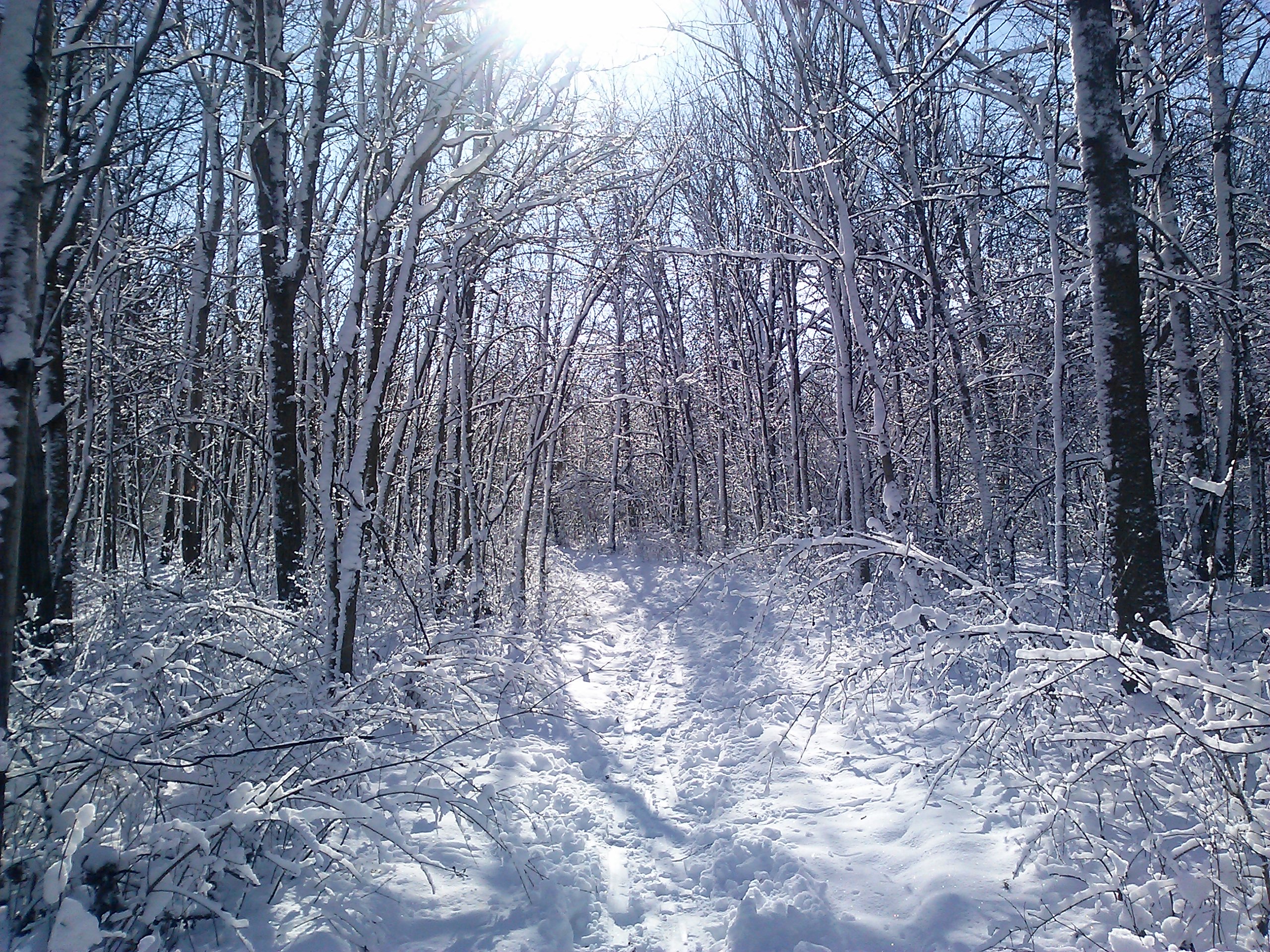 Lasley Point Winter