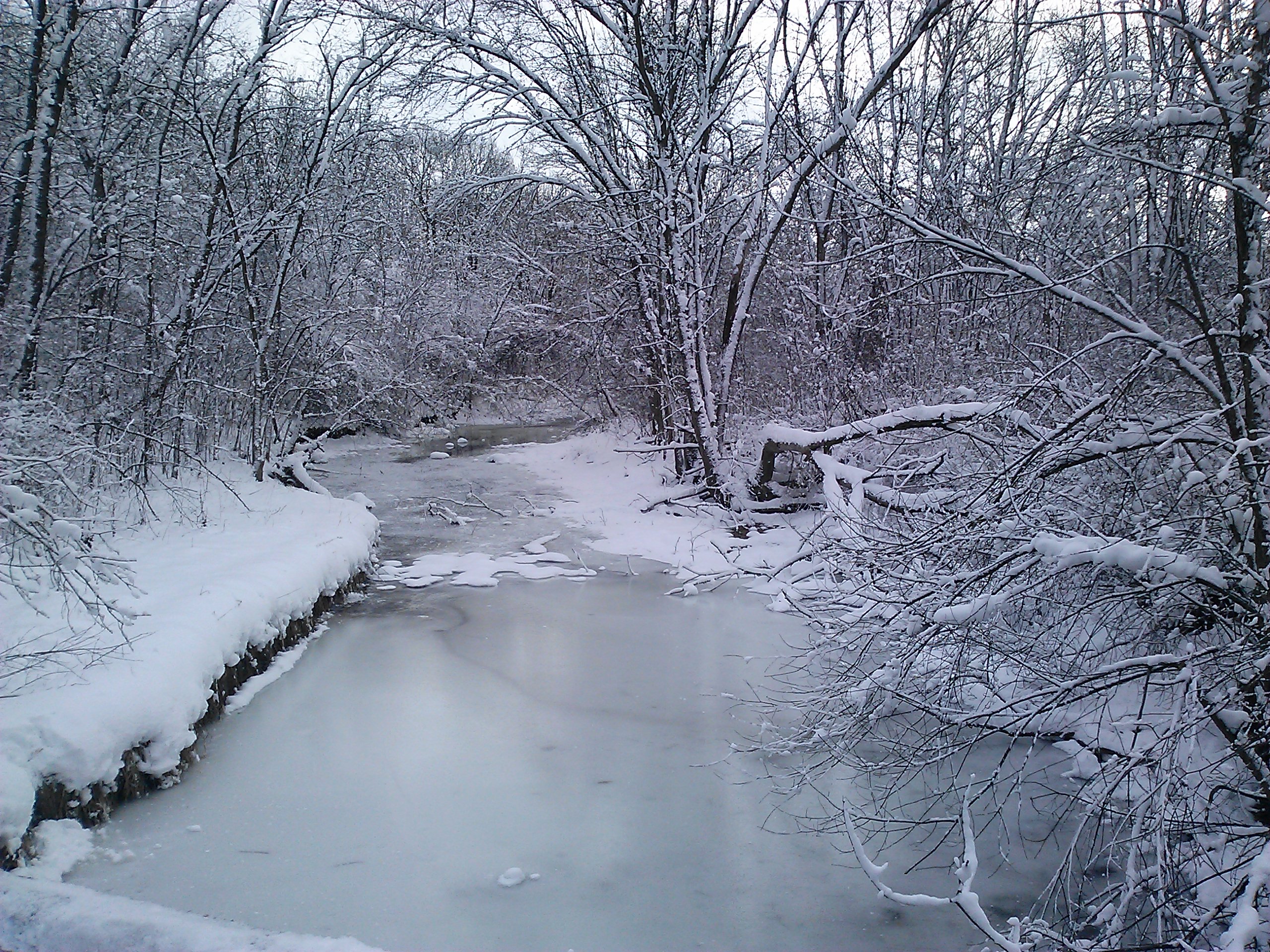 Waukau Creek Winter